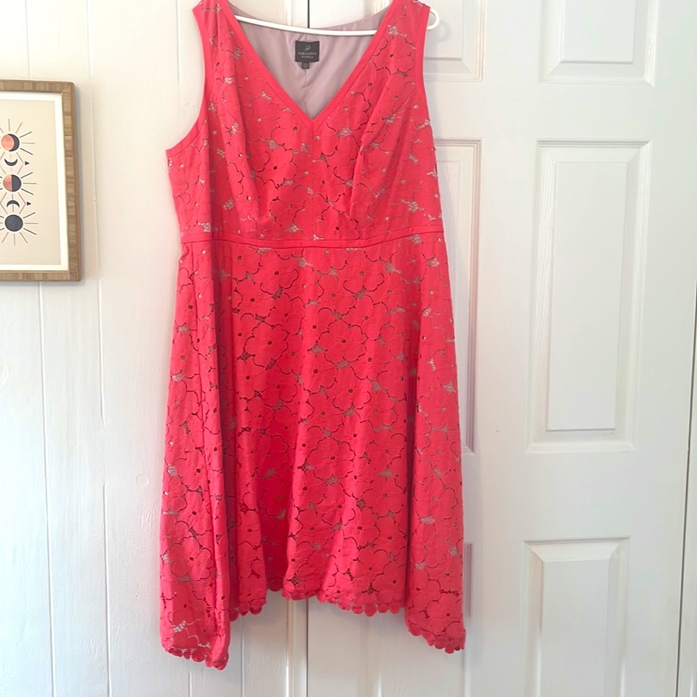 Women’s Adrianna Papell Coral Lace Dress